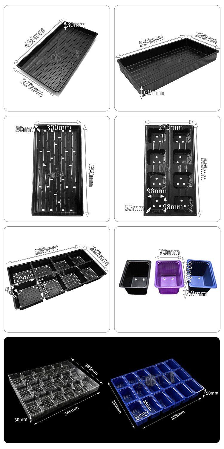 Plateau de germination des plantes en plastique PS