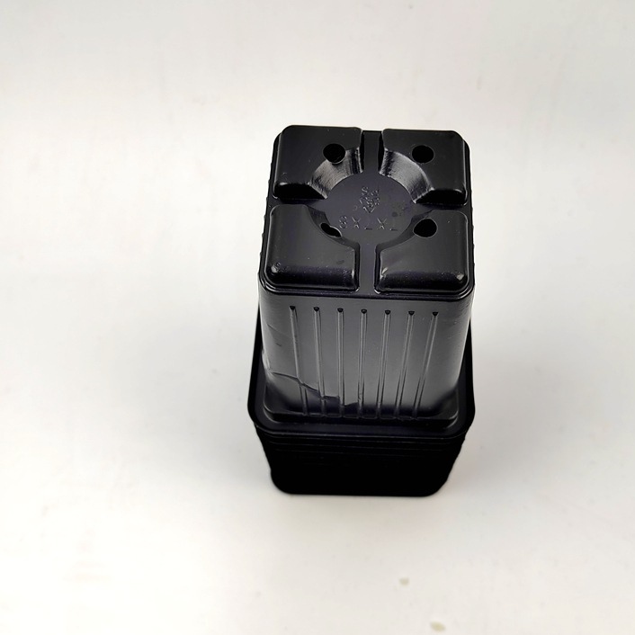 custom square blister black pp seeding pot