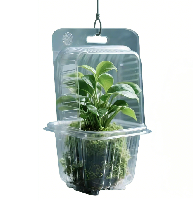 Food grade biodegradable plant seedling transportation vacuum box