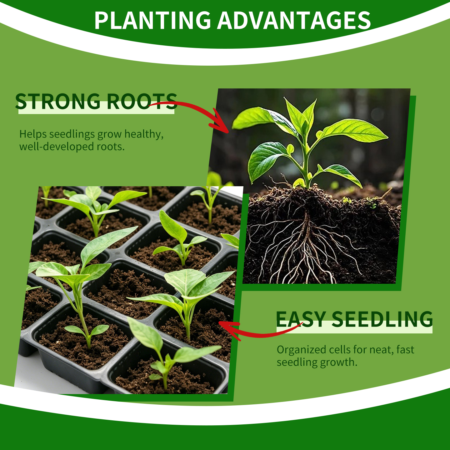 PP/PET/PS seedling tray