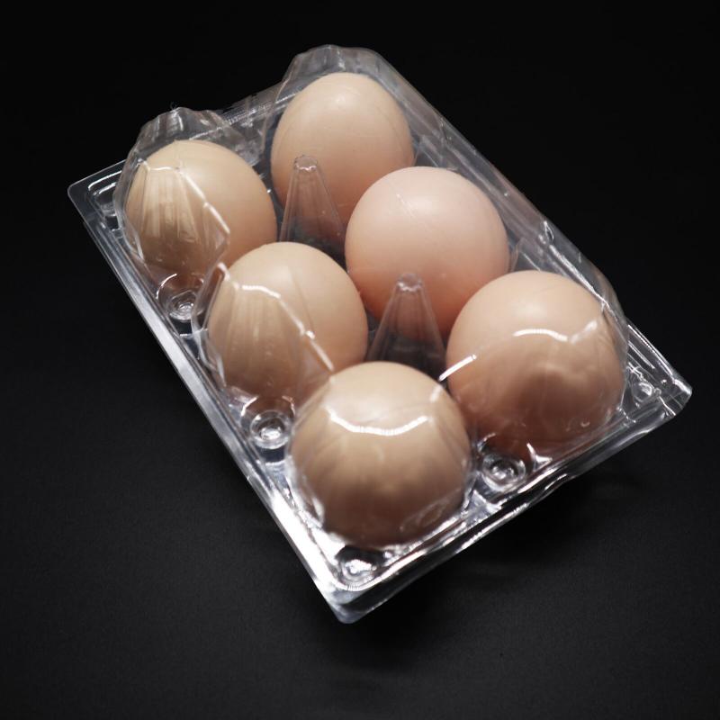 6 Holes egg tray
