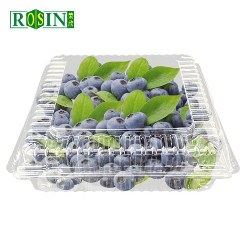 Récipient en plastique transparent pour légumes et fruits avec couvercle
