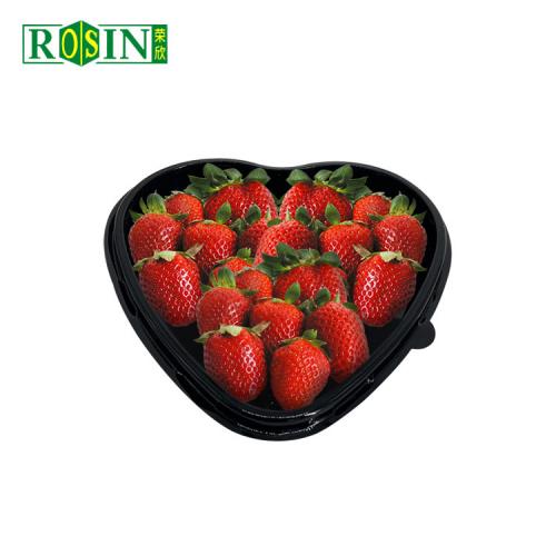 Emballage de fraise en plastique transparent pour conteneur de fruits frais
