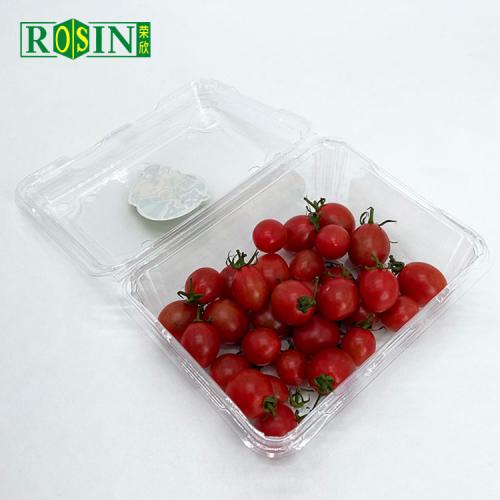 Boîte de récipient en plastique de légumes à salade de fruits jetables
