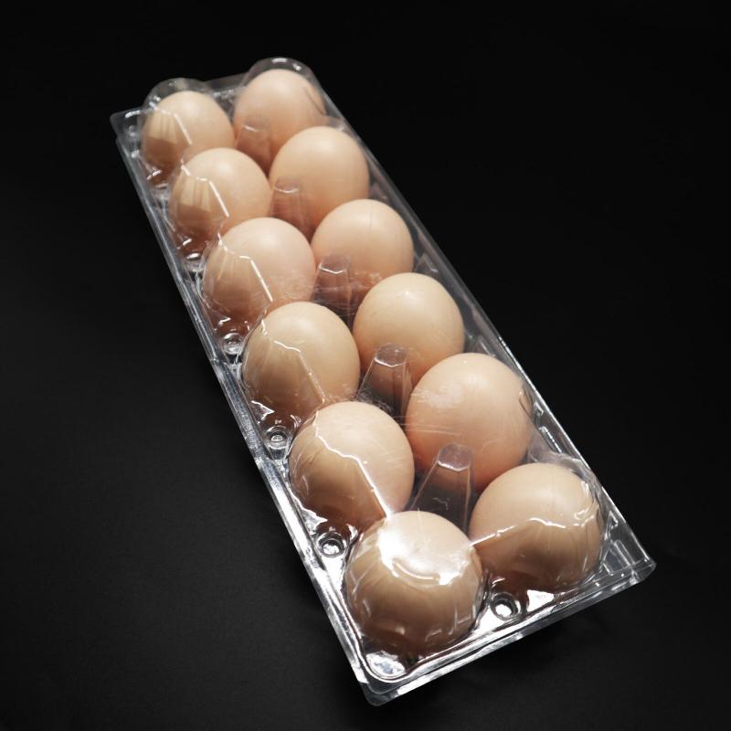 12 Holes egg tray