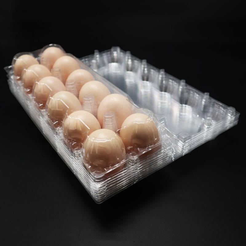 12 Holes egg tray