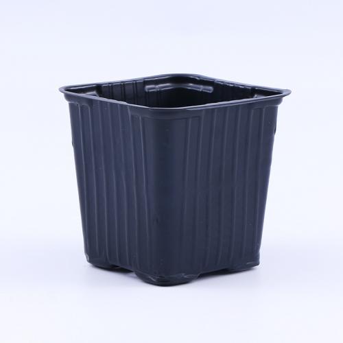 Compostable Seed Trays