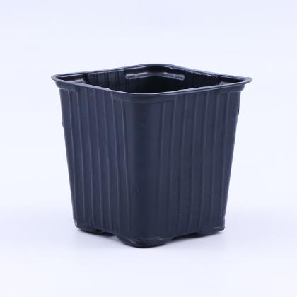 Compostable Seed Trays