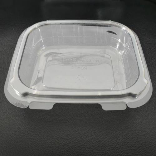 Boîtes de charcuterie en plastique de 8 oz, 12 oz, 16 oz, 24 oz, 32 oz, 48 oz avec couvercles transparents, boîte à clapet pour aliments, emballage de fruits pour animaux de compagnie jetable, contenant alimentaire