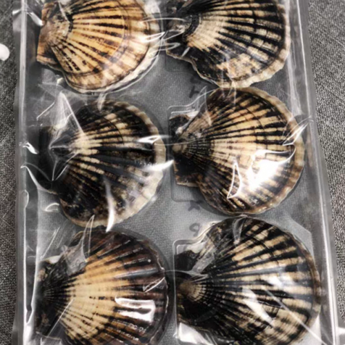 Boîte d'emballage de fruits de mer à charnière en plastique PET formée sous vide pour aliments et crustacés, personnalisée, 6 8
