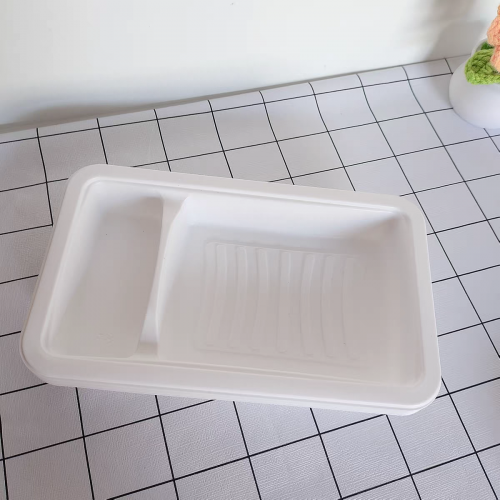 Plateau jetable personnalisé en PP blanc épaissi à 2 cavités en plastique pour saumon, fruits de mer, viande fraîche avec récipient à sauce