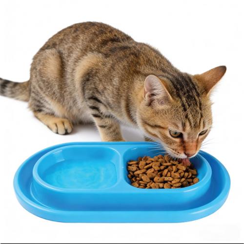 Bol à riz transparent d'extérieur personnalisé pour animal de compagnie, en plastique PET jetable, à l'épreuve des insectes et anti-renversement