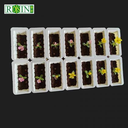plastic tray