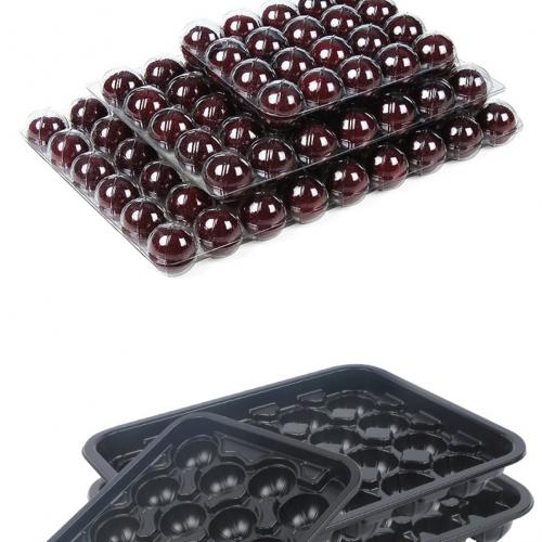 Plateau alvéolé en plastique transparent jetable pour l'emballage des cerises et des fruits de myrique