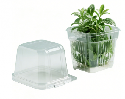 Plastic Trays