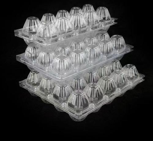 Plateau à œufs personnalisé jetable transparent en PET