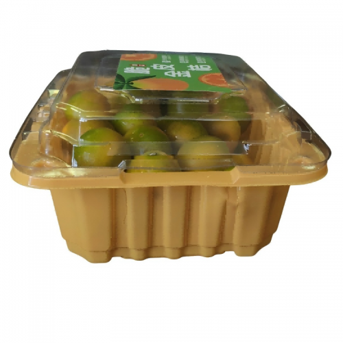 Plastic Trays