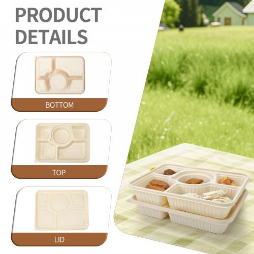 Boîte-repas personnalisée micro-ondable biodégradable à base d'amidon de maïs de qualité alimentaire avec 5 compartiments et une grande capacité de 1200 ml avec couvercle