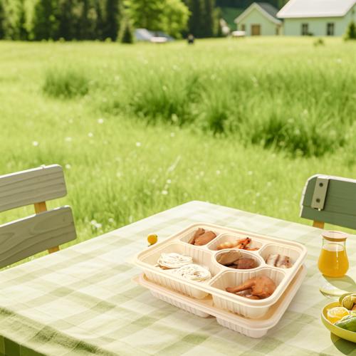 Boîte alimentaire personnalisée à emporter à base d'amidon de maïs avec 6 compartiments et couvercle