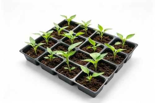 Rosinpack plateau de semis amovible à 16 grilles, mini plateau rectangulaire détachable pour la croissance de micro-plants