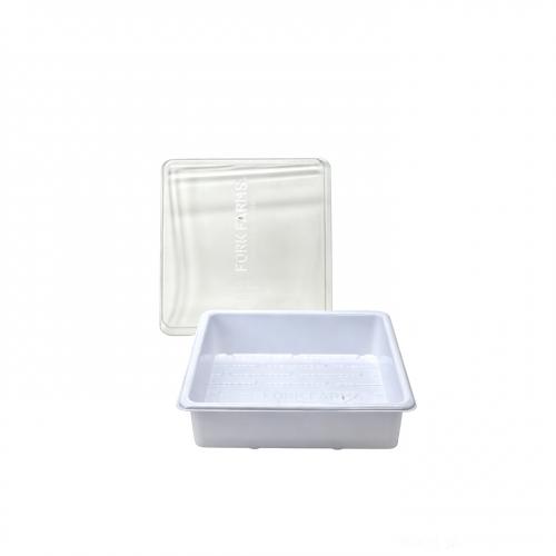Plateau de plantation carré blanc réutilisable personnalisé en PET avec couvercle transparent