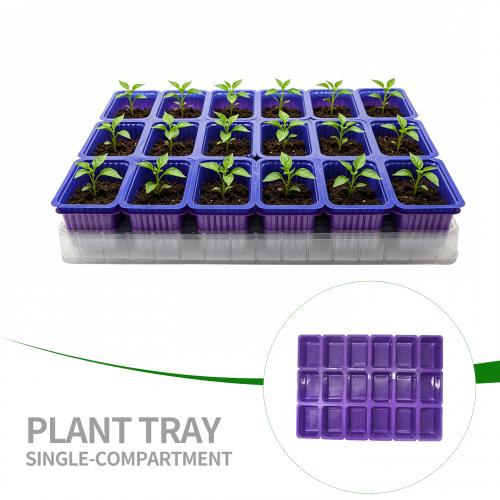 Plateau de germination amovible alvéolé violet bleu 16/18 grilles avec trous, plateau de semis transparent, ensemble de plateau inférieur 15/18 grilles