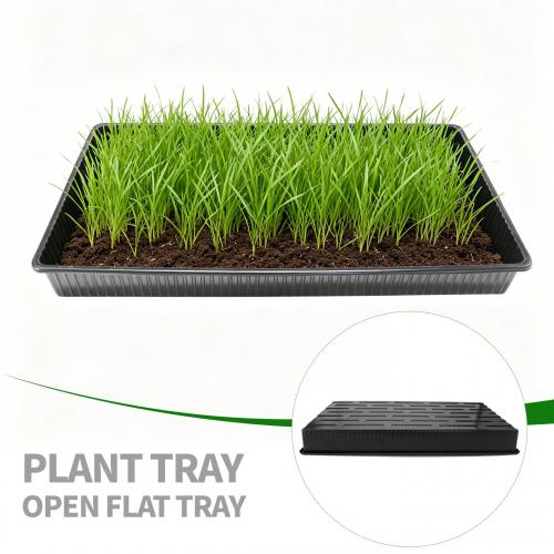 Plateaux de semis en plastique noir PS/PET/PP plats rectangulaires formés sous vide avec trous / sans trous