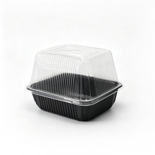 Support inférieur perforé noir en PS personnalisé, couvercle supérieur transparent haut en PET pour boîte de culture hydroponique sans substrat de pousses de haricots et d'herbe à chat